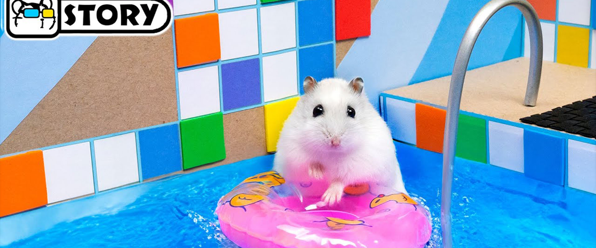 The Awesome Hamster Ball Pool Maze  Homura Ham Pets