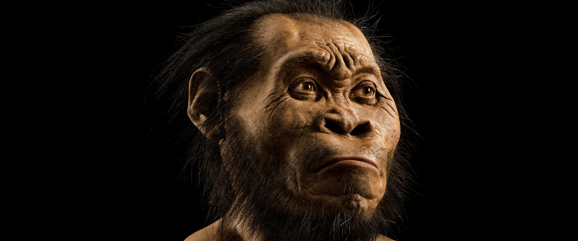 ⁣Anthropologists Made a Stunning Discovery About Neanderthals 