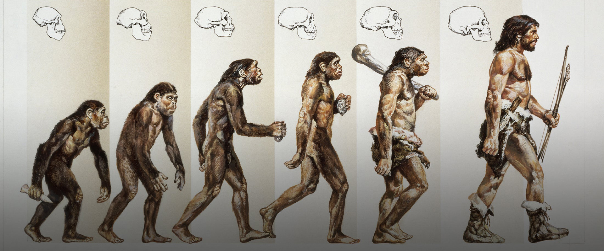 ⁣A 10-Minute Journey Through Earth s Human Evolution 